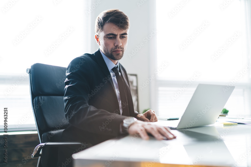 Wall mural Smart businessman working on laptop at table