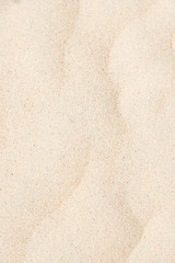 Soft white sand on the beach for texture background, have some small slope on surface - vertical - obrazy, fototapety, plakaty