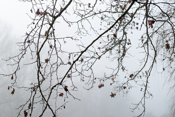 Reflections in mysterious lake