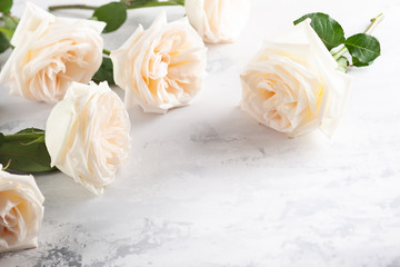 Beautiful white  roses flowers .