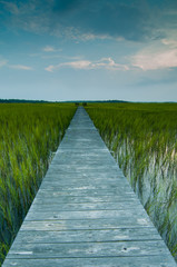 Obraz premium Long boardwalk over beautiful marsh
