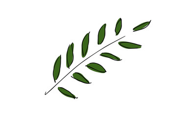 hand drawn olive branch. Botanical Doodle art. use it as a clipart in greeting cards, print on clothes, animation, packaging or design of your website