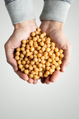 Obraz premium man with cooked chickpeas in his hands