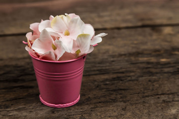Pastel pink hydrangea flowers in a little bucket on wood background. Copy space for text