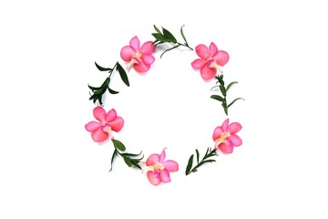 Purple orchids and green leaves arranged in a circle on white background