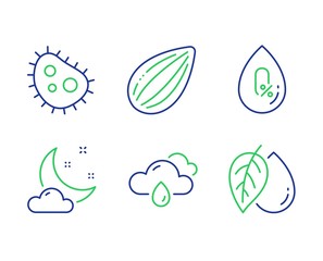 No alcohol, Bacteria and Rainy weather line icons set. Night weather, Almond nut and Mineral oil signs. Mineral oil, Antibacterial, Rain. Sleep. Nature set. Line no alcohol outline icons. Vector