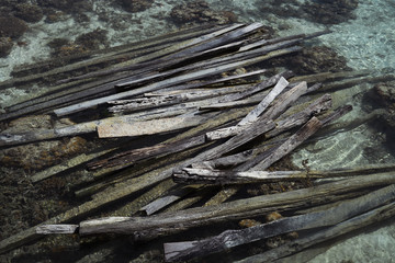 Wooden wreck in the sea during low tide.