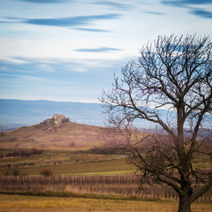 Obraz premium Great rock named hölzlstein near Oggau in Burgenland