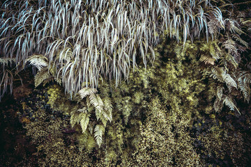 Green plants pattern layout design. Ecology natural creative concept