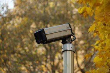 Classic security camera in fall. Surveillance cctv camera in street. Yellow leaves on background.
