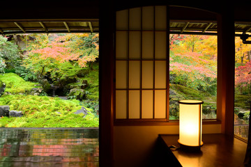 和室から眺める秋の日本庭園