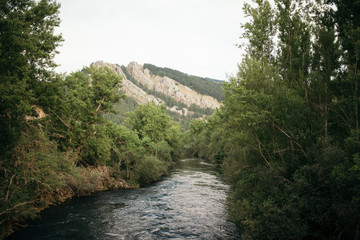 Fototapeta na wymiar River crossing the forest