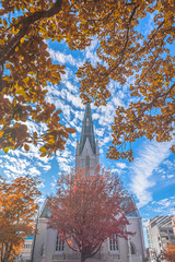 First Baptist Church Raleigh surrounded with autumn leaves and blue sky.
