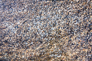 Closeup of miniature sea shells in sand