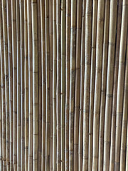 Green bamboo fence texture background, bamboo texture panorama