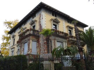 Housr with palm trees