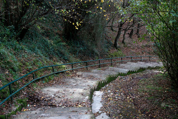Urban park in a windy winter day