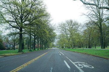 Fototapeta premium Natural landscape street and footpath among St.Louis forest park- Missouri, United States
