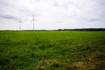 Fototapeta na wymiar Green field and two windmills