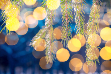 Winter background with branches of spruce and christmas lights and bokeh