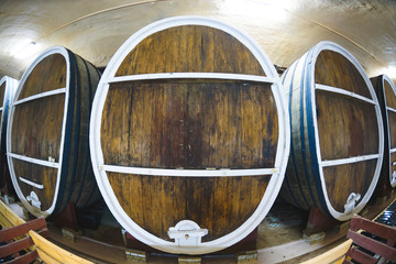 wine barrels at cellar