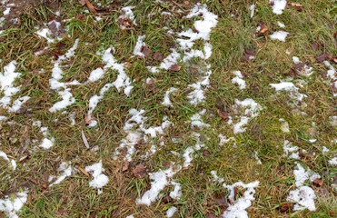 A little snow and fallen leaves on the wet grass, texture. Warm winter, when there is little snow