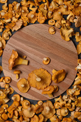 chanterelle mushrooms on a round board on a dark background