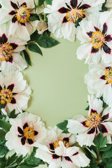 Round frame border of white peonies flowers. Flat lay, top view minimal floral copy space mockup background.