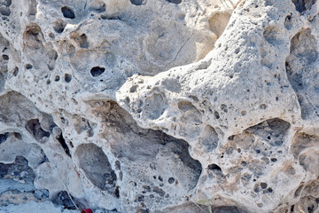 Seaside White Rock Holes in Rock Detail