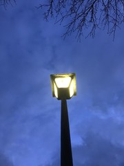 Looking Up At Light Pole At Dawn
