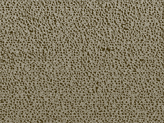 brown carpet texture
