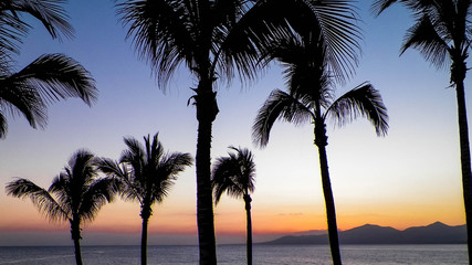 Fototapeta na wymiar Palm trees an sunset in Puerto del Carmen, Lanzarote, Canary Islands.