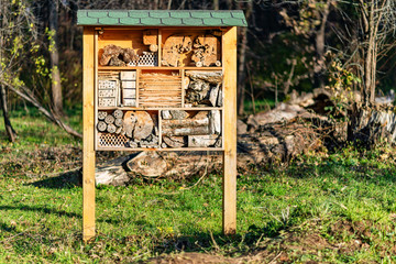 Insect hotel or house in park 