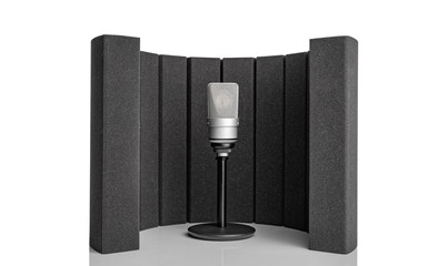 Professional condenser microphone and a studio microphone screen for recording in the studio and...