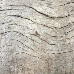 Wooden background texture. Wooden texture with cracked pattern.