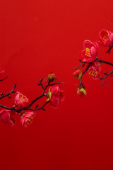 Naklejka premium Plum Flowers Blossom on red background