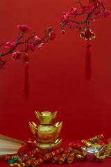 Chinese new year's decoration for festival