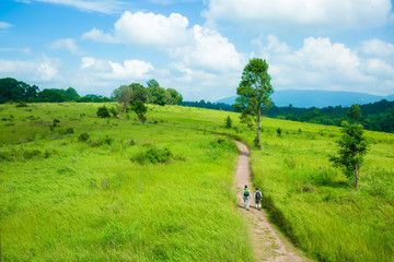 2 Backpacker go to in the forest for inspiration