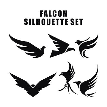 Falcon Wing Logo set Template Silhouette vector icon design
