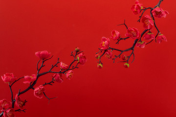 Plum Flowers Blossom on red background