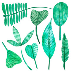 Fototapeta premium Watercolor set of leaves. Located on a white background. To create design elements on the theme of nature, ecology, seasons (spring, summer). Get beautiful patterns, frames, cards