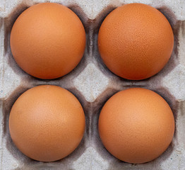 Fresh chicken eggs placed on a paper egg tray. Concept of high protein food, components of healthy food.