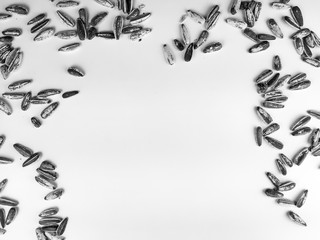 Making a frame out of sunflower seeds with empty white space background underneath presenting a healthy diet