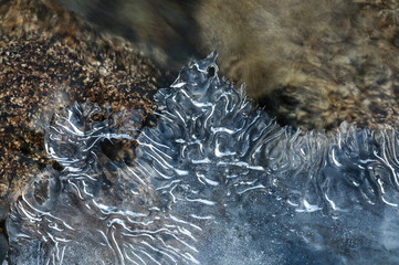 P.N. AIGUESTORTES