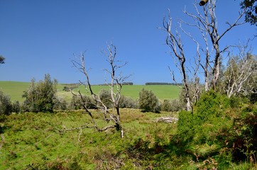 Mornington Peninsula, Australia