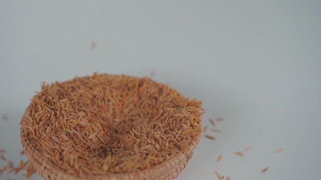 Collecting chicken eggs and selecting egg on white background.