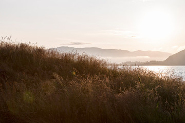 Fototapeta premium Sommer in Jelsa am Boknafjord, Südnorwegen