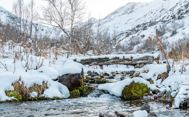 mountain river in winter