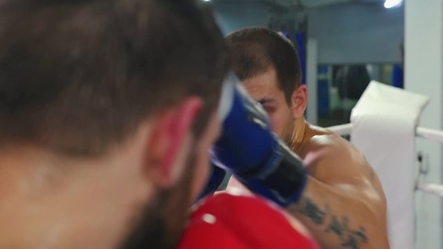 Box training - two sweaty men with mouth guard having an aggressive fight on the boxing ring