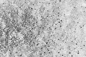 black white texture leaves / abstract nature background unusual
